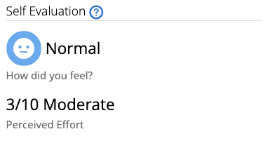 Self Evaluation stats