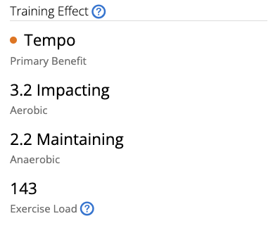 Training Effect stats